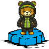 Bear Floe