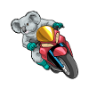 Koala Scooter