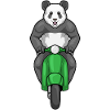 Panda Scooter