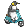 Scooter pingouin