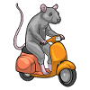 Rat Scooter