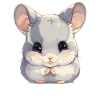 Chinchillas Chinchilla