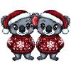 Koala Christmas Team