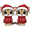 Leopard Christmas Team