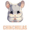 Chinchillas Chinchilla