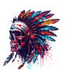 Indian Chief Skull