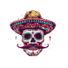 Sombrero Mexican Skull