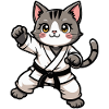 KARATECAT