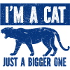 Tiger - Africa - Wilderness - Nature Conservation