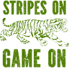 Tiger - Africa - Wilderness - Nature Conservation