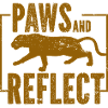 Tiger - Africa - Wilderness - Nature Conservation