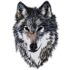 Dogs Face Graphic Design