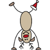 Funny Christmas