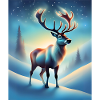 Magical winter night