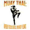 Muay Thai Boxe Muay Thai