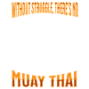 Muay Thai Boxe Muay Thai