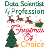 Data Scientist Christmas Xmas Elf