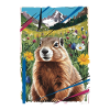 Marmot nature landscape