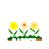 Gardening Home Without Garden