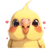 Cockatiel Nymphensittiche Nymphensittich