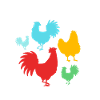 Chicken Poultry