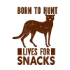 Tiger - Africa - Wilderness - Nature Conservation