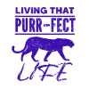 Tiger - Africa - Wilderness - Nature Conservation