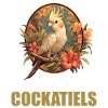 Cockatiel Nymphensittiche Nymphensittich