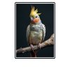 Cockatiel Nymphensittiche Nymphensittich