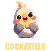 Cockatiel Nymphensittiche Nymphensittich