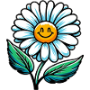 Gänseblümchen