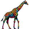 Girafe