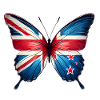 New Zealand Flag Butterfly Design