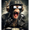DJ Monkey