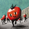 March of tomatoes