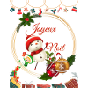 Joyeux Noël png