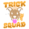 Animal Trainer Squad