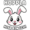 Oops, here I am!