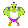Parrot Bodybuilder Musculation