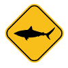 Shark Strength