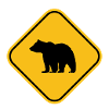 Bear Strength