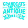 Cadeaux de grand-mère chat
