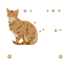 Funny cat saying