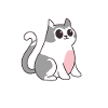 Funny cat saying