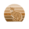 Funny cat saying