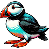 Puffin