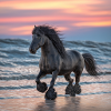 Cheval frison sur la plage