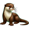 Loutre