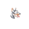Doberman Dog Owner Animal