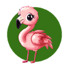 Flamingo Waterfowl Exotic